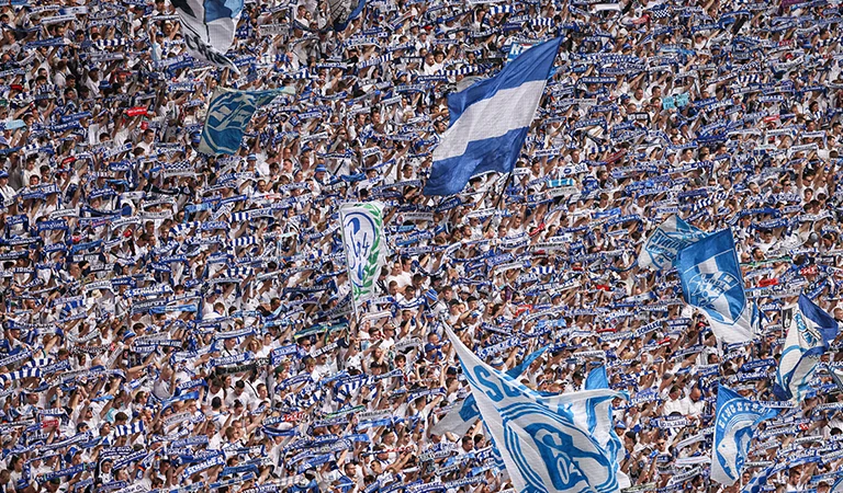FC Schalke 04-Fans, die auf der Tribüne Fahnen und Schals ihrer Mannschaft hochhalten. (Foto)