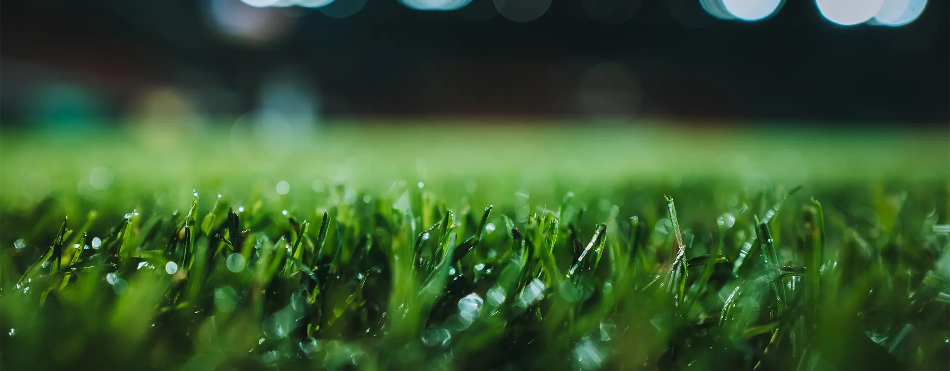 Lawn. (Photo)